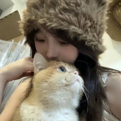 双姝夺婿