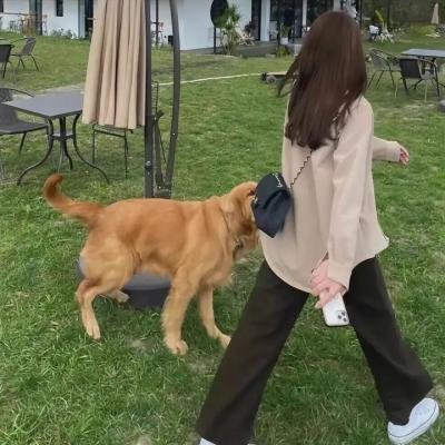 不止不休